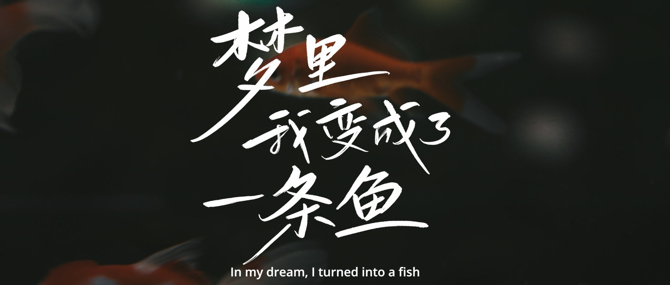梦里我变成了一条鱼 封面