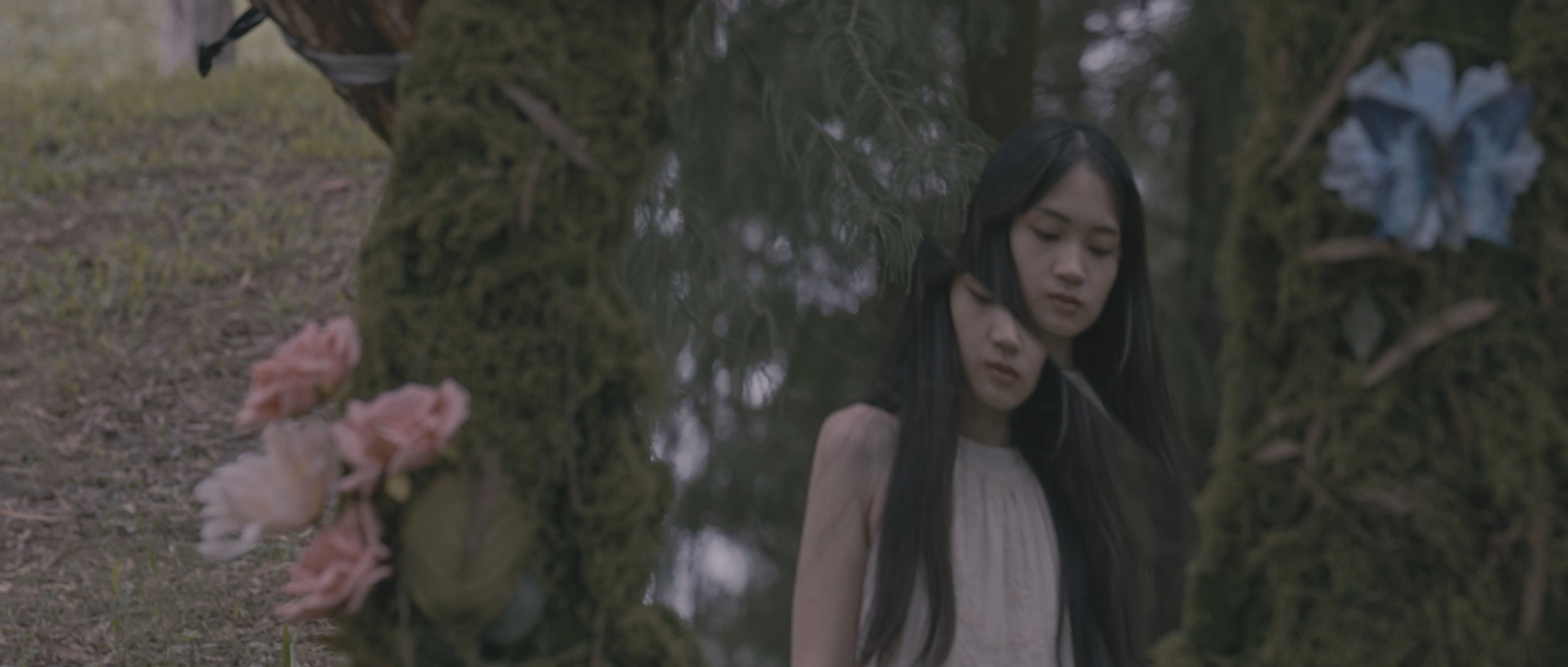 梦里我变成了一条鱼 静帧 2