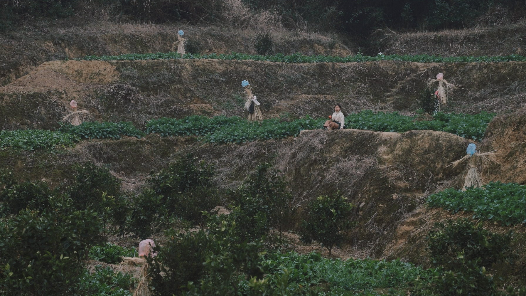 土地嗲嗲 静帧 1